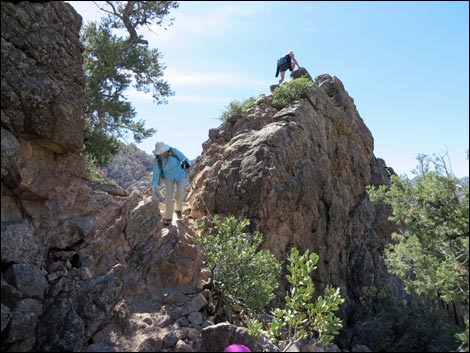 White Rock Loop Trail