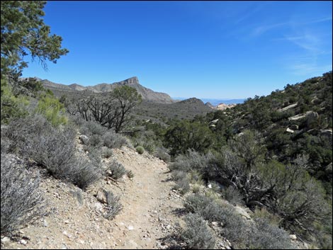 White Rock Loop Trail