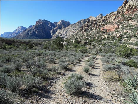 Grand Circle Trail