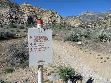 White Rock Loop Trail