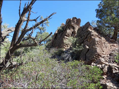 White Rock Loop Trail