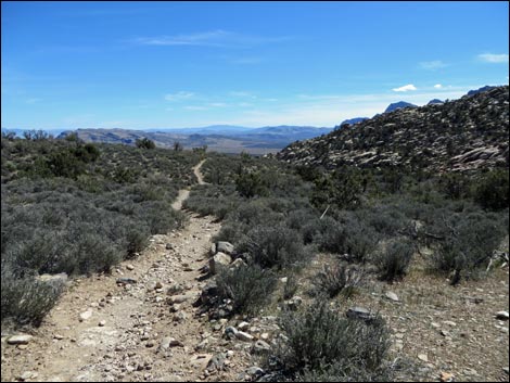 White Rock Loop Trail