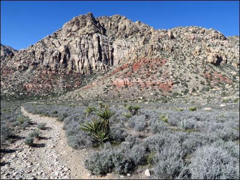 White Rock Loop Trail