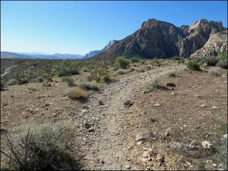 White Rock Loop Trail