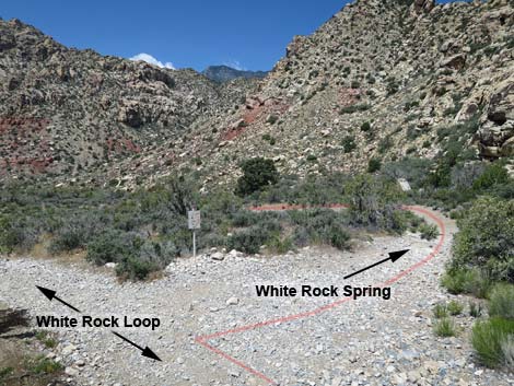 White Rock Spring