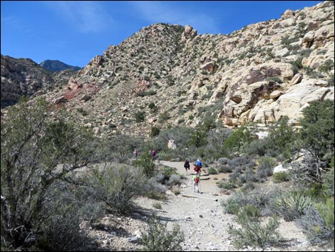 White Rock Spring Trail