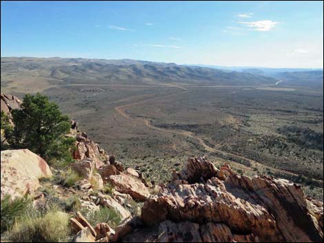 Wilson's Pimple Peak Trail