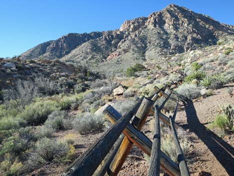 Wooden Fence Spring Trail