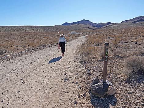 BLM 100 Trail