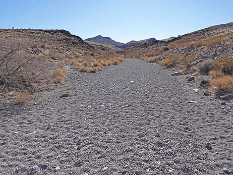 BLM 100 Trail