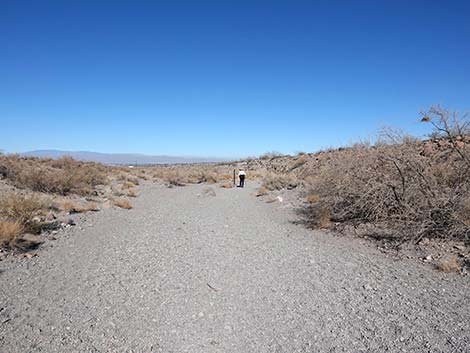 Petroglyph Canyon Trail