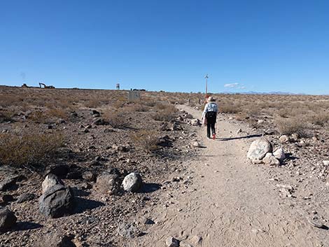 Petroglyph Canyon Trail