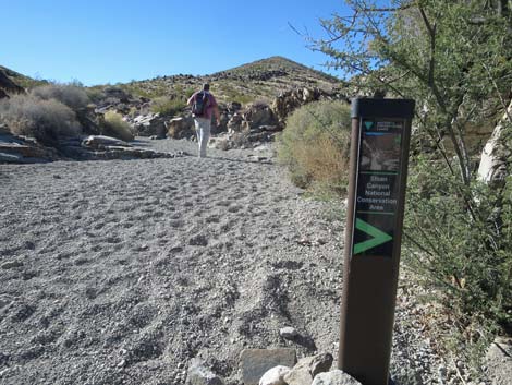 BLM 200 Trail