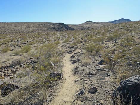 Petroglyph Canyon Trail