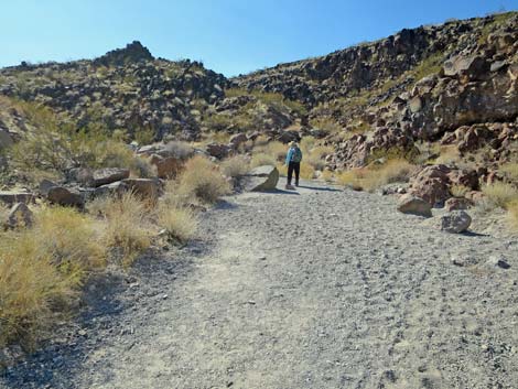 Petroglyph Canyon Trail