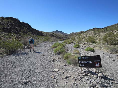 Petroglyph Canyon Trail