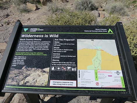 Petroglyph Canyon Trail