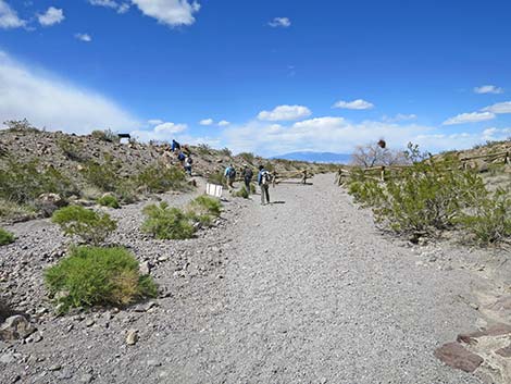 Petroglyph Canyon Trail