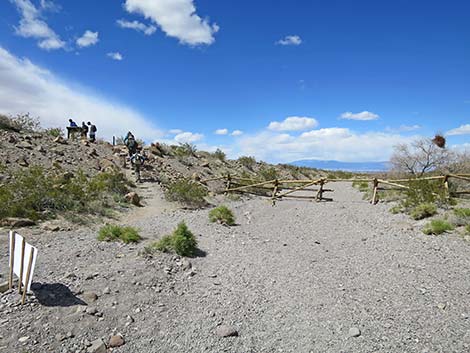 Petroglyph Canyon Trail