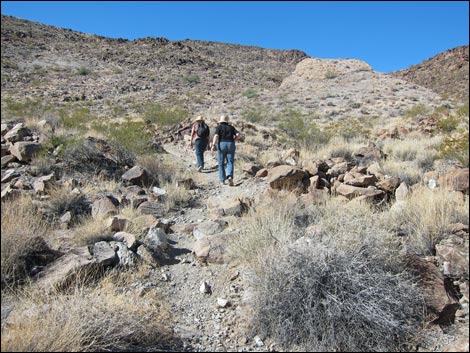 BLM 200 Trail