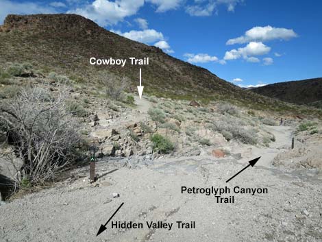 Petroglyph Canyon Trail