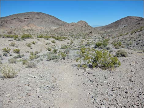 Hidden Valley Trail