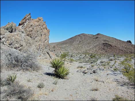 North McCullough Wilderness Area