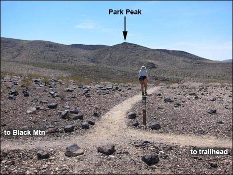 Fracture Ridge Trail