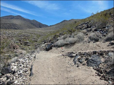 Park Peak Trail