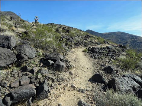 BLM 404 Trail