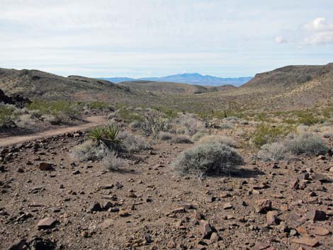 McCullough Hills Trail