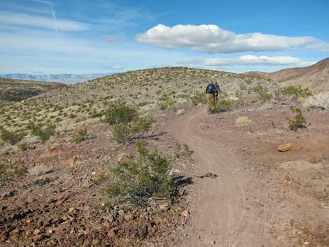 McCullough Hills Trail