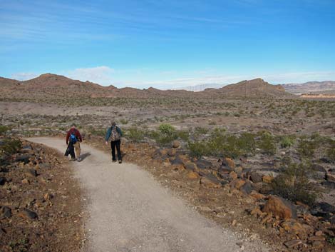 McCullough Hills Trail