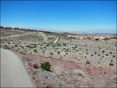 Park Peak Trail