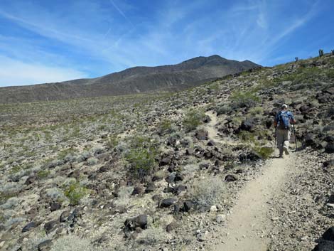 Park Peak Trail