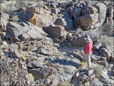 Sloan Canyon Petroglyphs