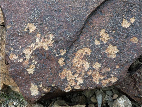 Sloan Canyon Petroglyphs