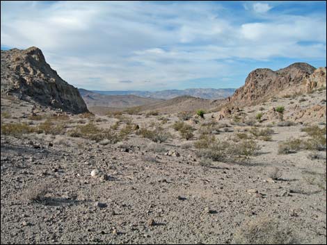 North McCullough Wilderness Area