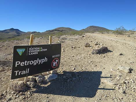 Petroglyph Canyon Trailhead