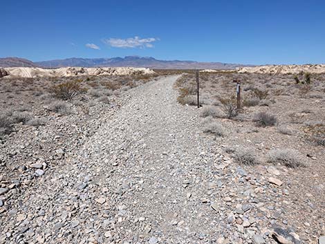 Durango Loop Temporary Trail