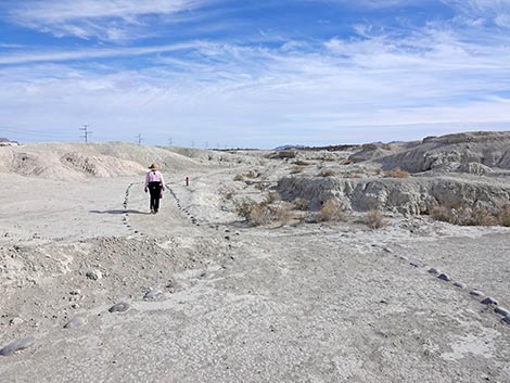 Big Dig Trail