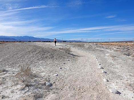 Big Dig Trail