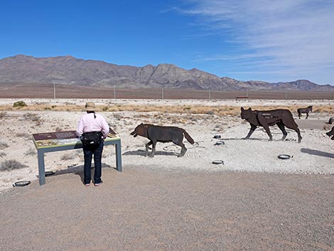 Megafauna Trail