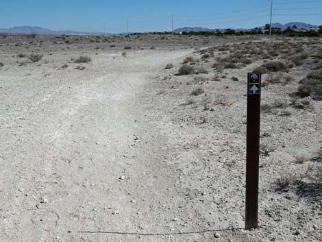 Aliente Loop Trail