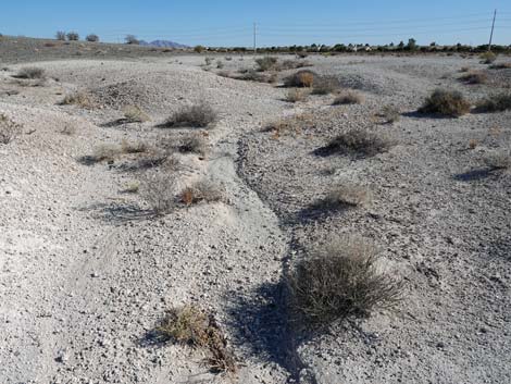 Aliente Loop Trail