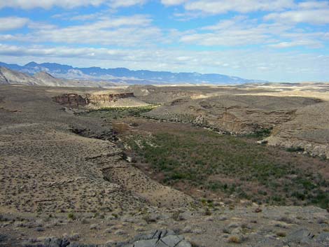 Arrow Canyon Wilderness Area