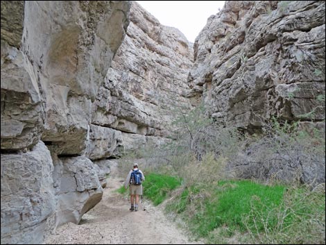 Arrow Canyon