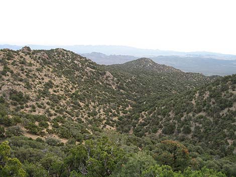 McCullough Mountain Ridges Route