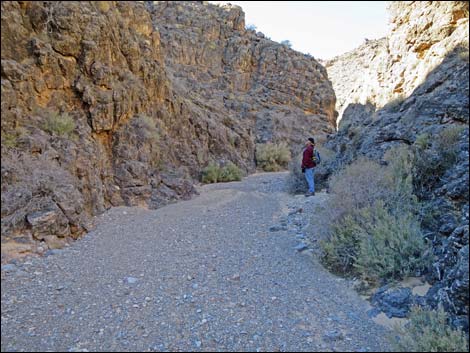 Colorock Canyon Loop