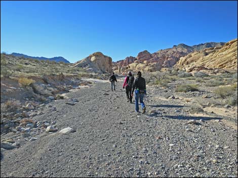 Colorock Canyon Loop